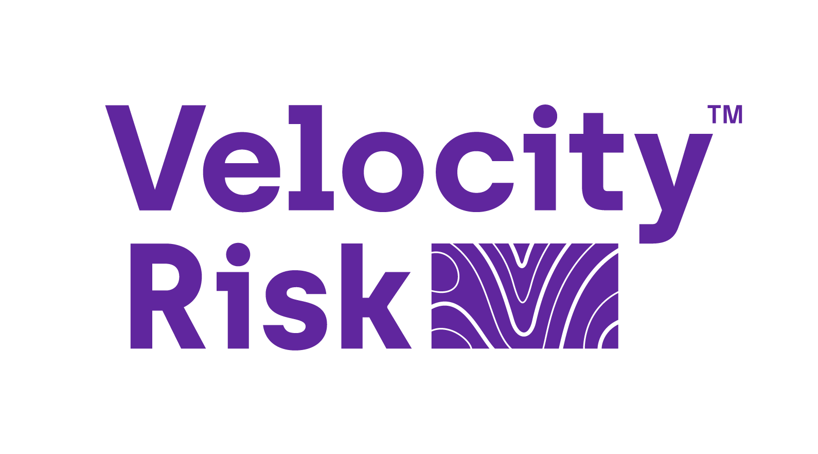 Velocity Risk Logo